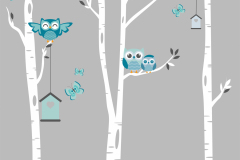 owls